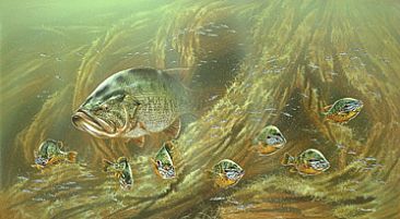 366x201 Largemouth Bass And Pumpkinseeds - Largemouth Bass Painting