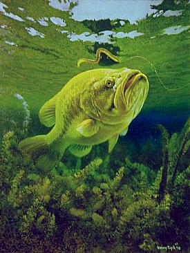275x366 Larry Tople - Largemouth Bass Painting
