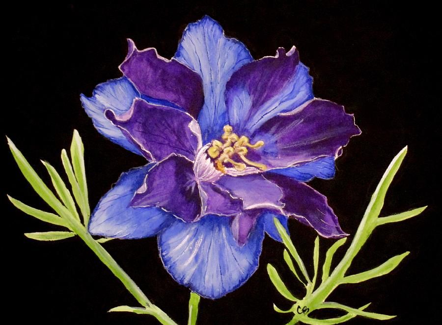 900x663 Larkspur Painting By Carol Tattoos - Larkspur Painting