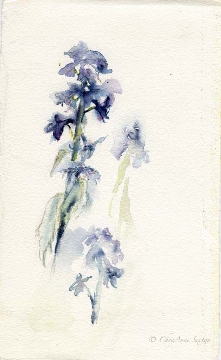 450x731 Wild Larkspur Doodle Tattoos And Tattoo Ideas - Larkspur Painting