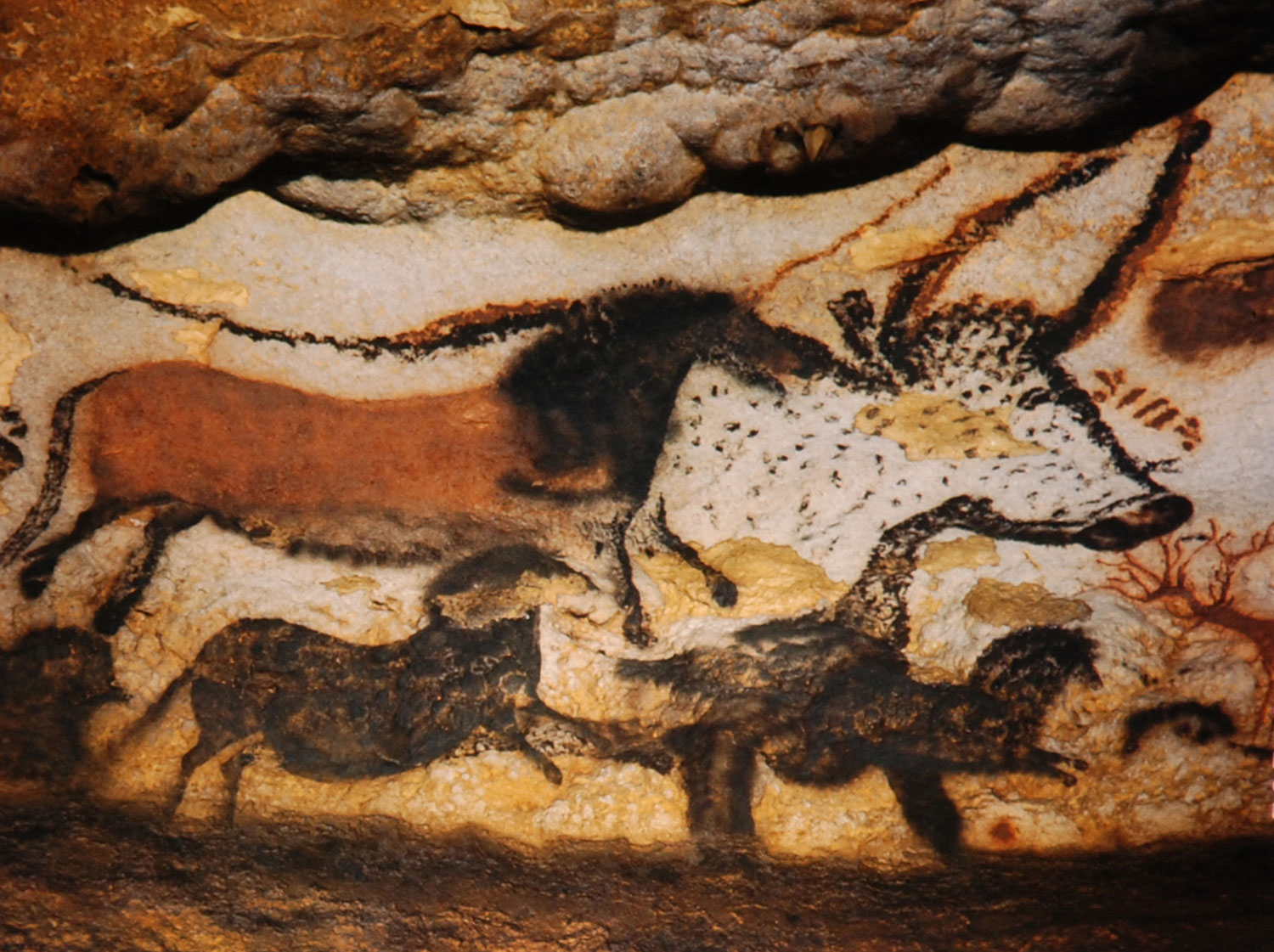 1500x1121 Lascaux Early Color Photos Of The Famous Cave Paintings, France - Lascaux Cave Painting