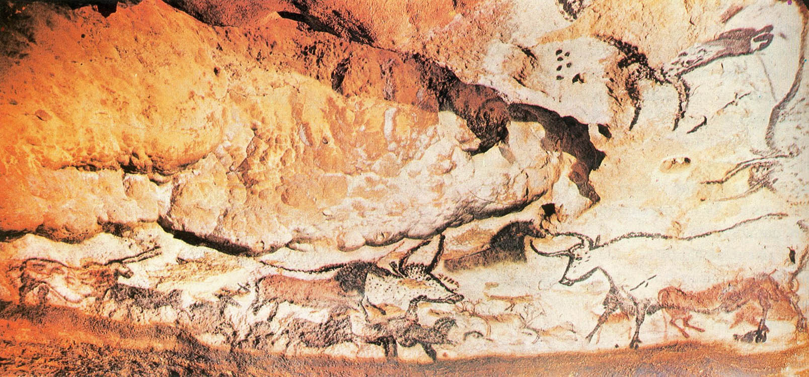 1607x750 Virtual Tour Lascaux Cave Paintings World History - Lascaux Cave Painting