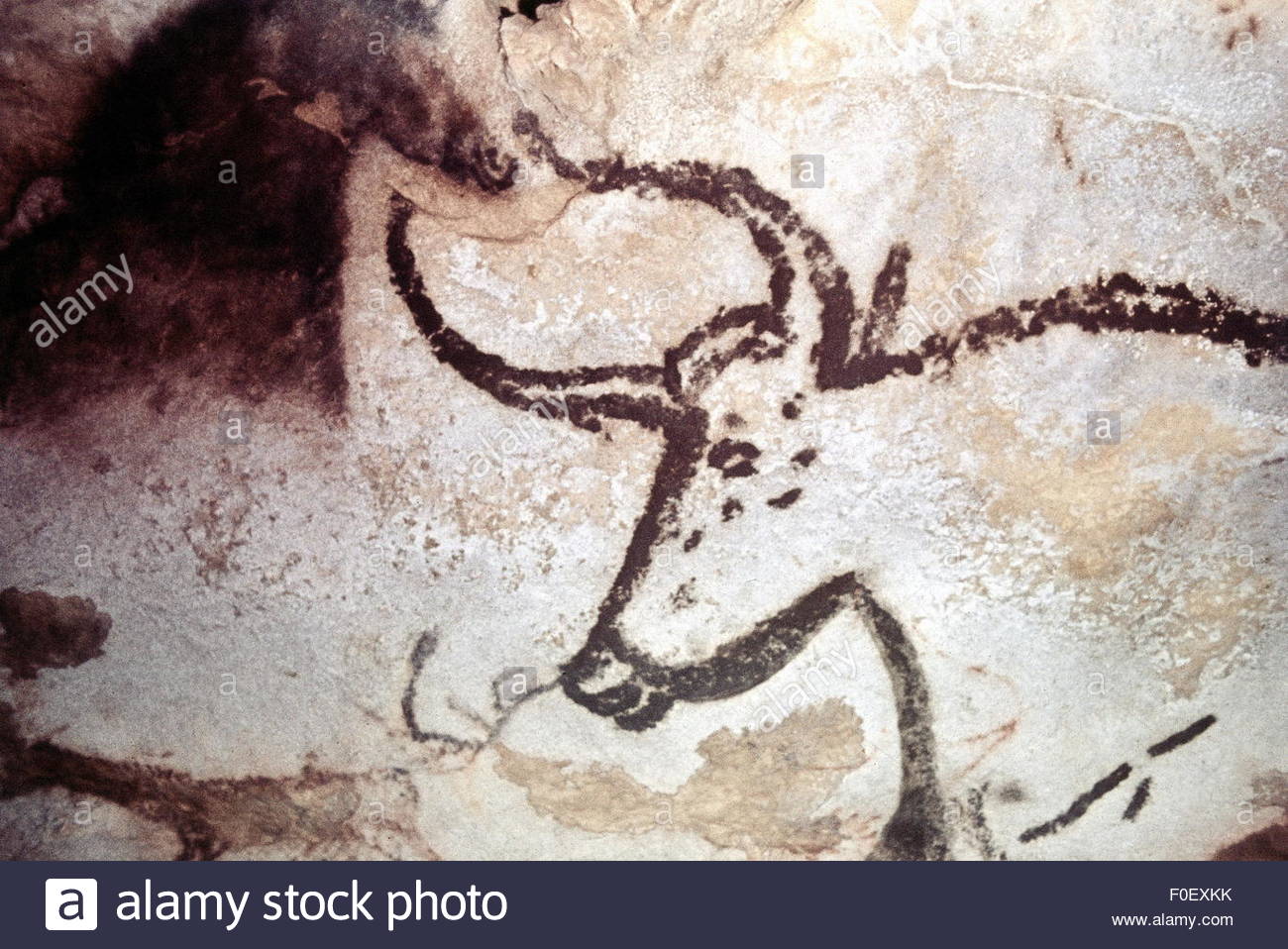 1300x958 Cave Painting, Lascaux Stock Photo 86380103 - Lascaux Painting