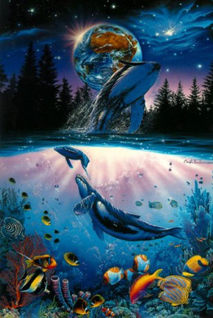 308x460 Whale Star By Christian Lassen - Lassen Painting
