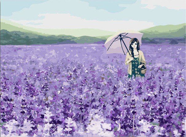 605x448 Lavender Farm Oil Painting Diy Paint By Numbers 50x40cm (20x16 - Lavender Field Oil Painting