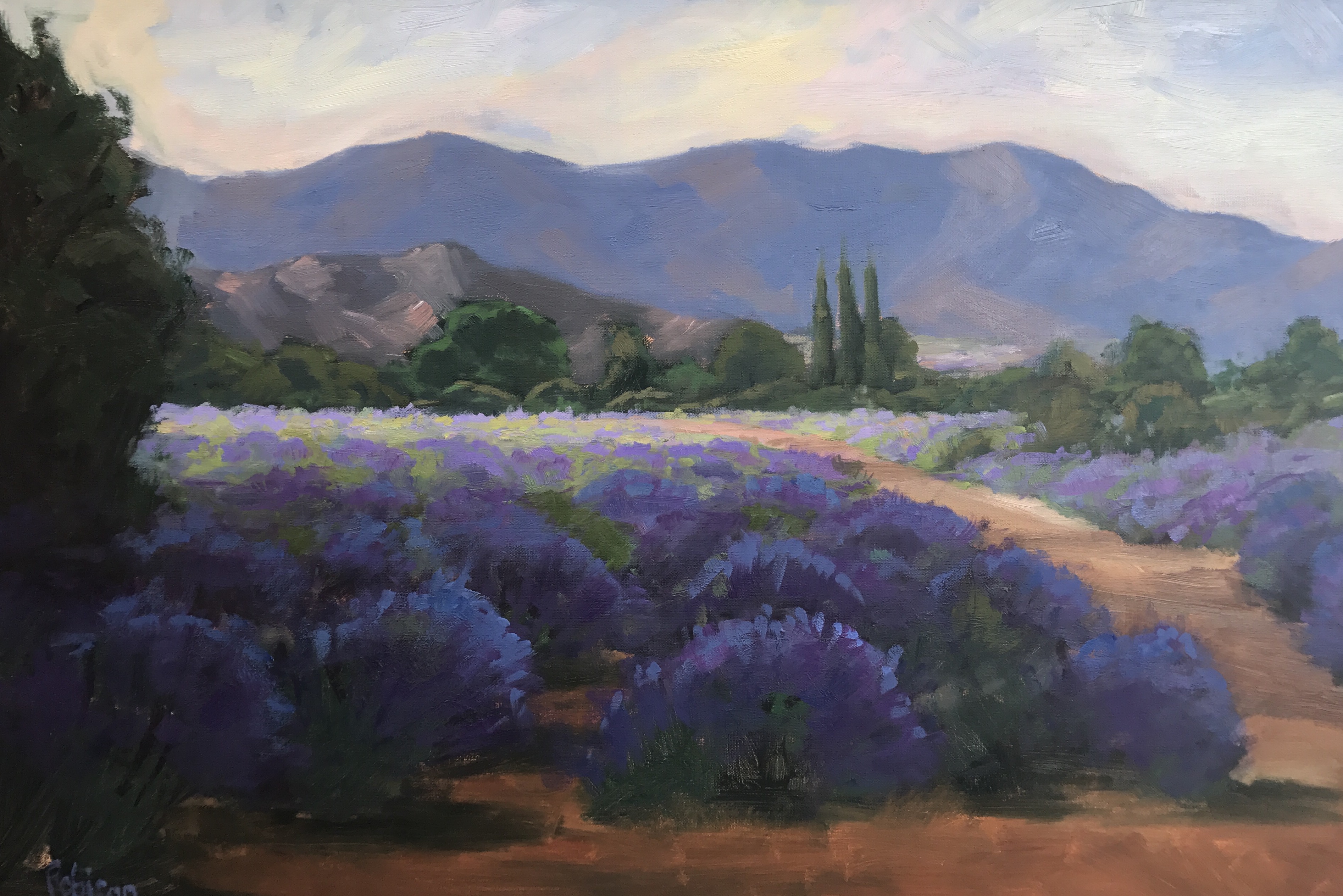 3787x2527 Lavender Field 24x36 Original Oil Painting By Kathleen M Robison - Lavender Field Oil Painting