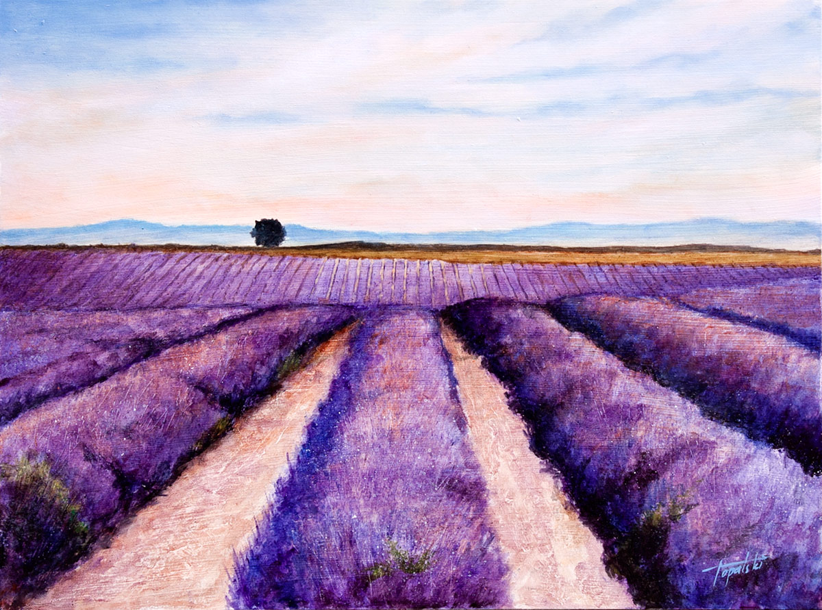 1200x891 Lavender Fields Oil Painting Fine Arts Gallery - Lavender Field Oil Painting