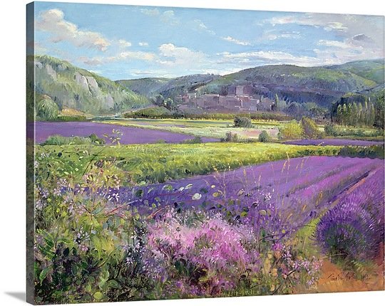540x430 Great Big Canvas - Lavender Field Oil Painting