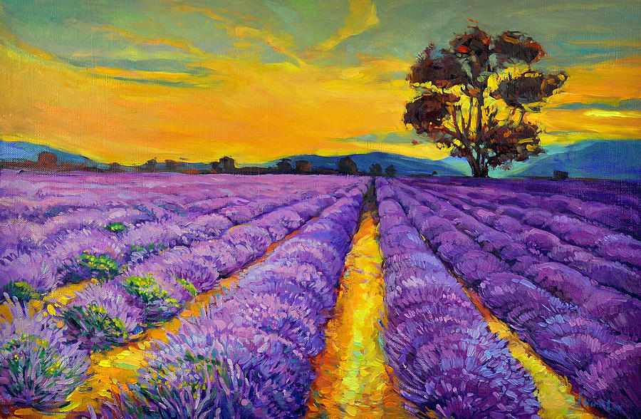 900x588 Lavender Painting By Ivailo Nikolov - Lavender Field Painting