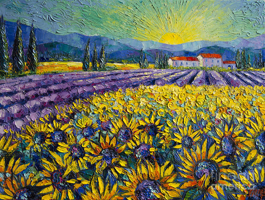 900x677 Sunflowers And Lavender Field - Lavender Field Painting