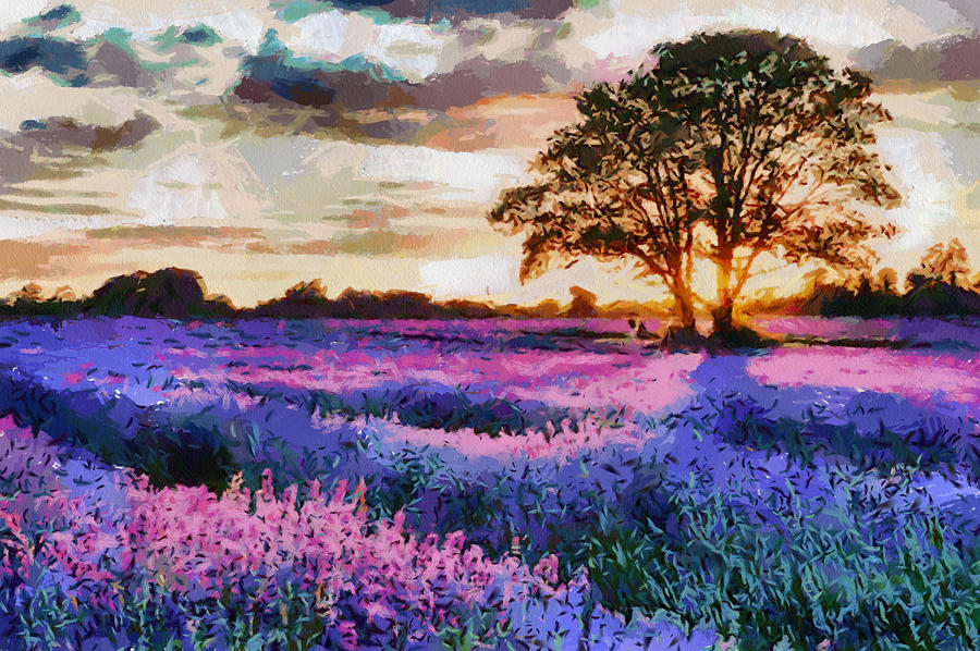 900x598 Sunset Lavender Field Painting By Georgi Dimitrov - Lavender Field Painting