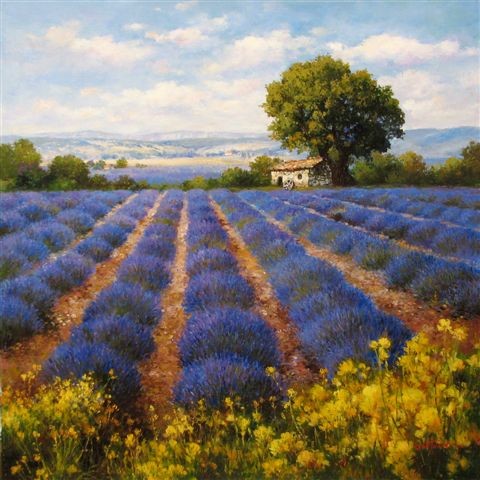 480x480 Lavender Field Oil Painting - Lavender Field Painting