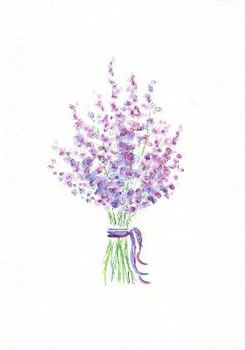 245x350 Mary Lou Peters, Watercolorist - Lavender Flower Painting