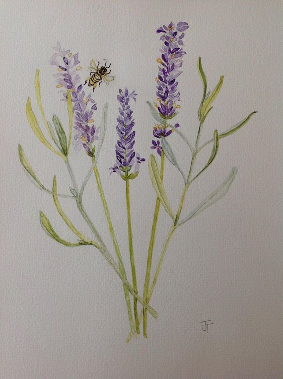 570x763 Original Watercolour Painting Lavender Watercolour Flowers, Wall - Lavender Flower Painting
