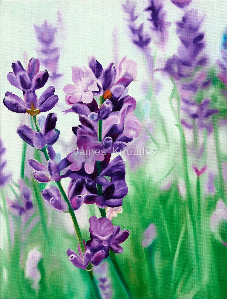 760x1000 Lavender Lovers - Lavender Painting