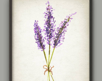 340x270 Lavender Wall Art Etsy - Lavender Painting