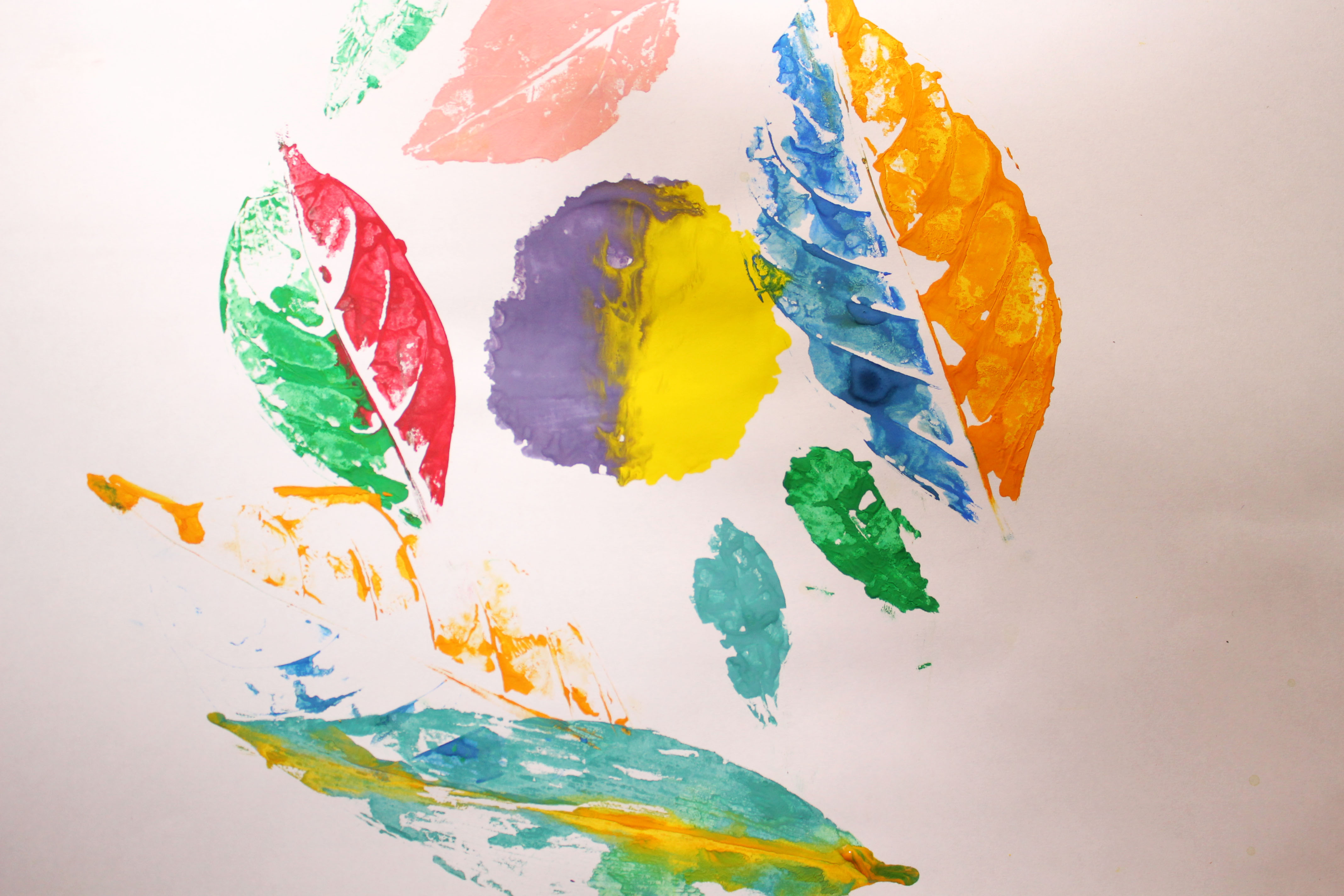 4272x2848 How To Make Leaf Prints 8 Steps (With Pictures) - Leaf Painting