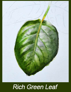 247x320 Painting Realistic Leaves And Mixing Greens - Leaf Painting