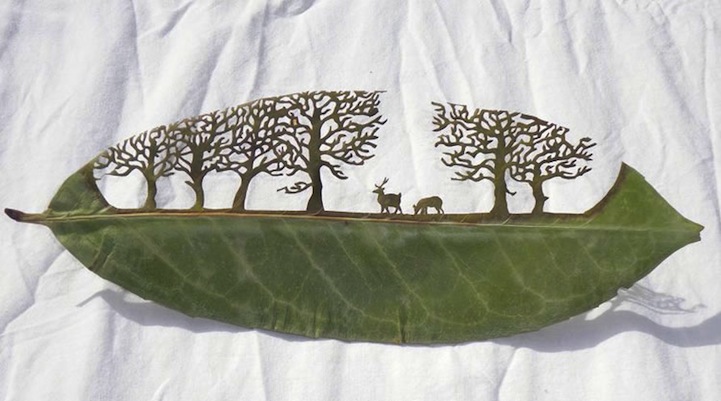 721x401 Cut Away Leaf Art - Leaf Painting Art