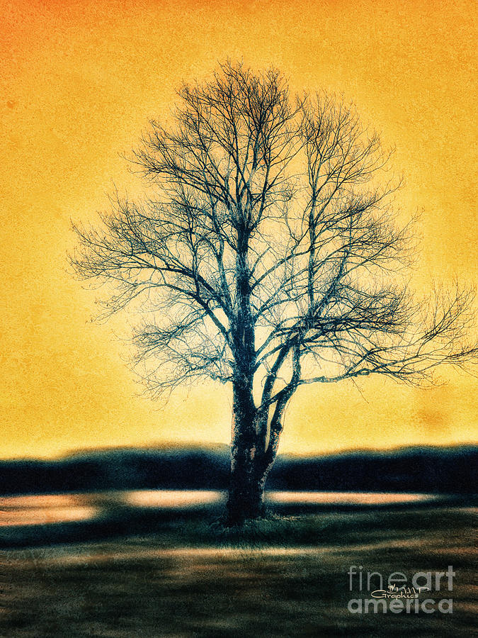 675x900 Leafless Tree Photograph By Jutta Maria Pusl - Leafless Tree Painting