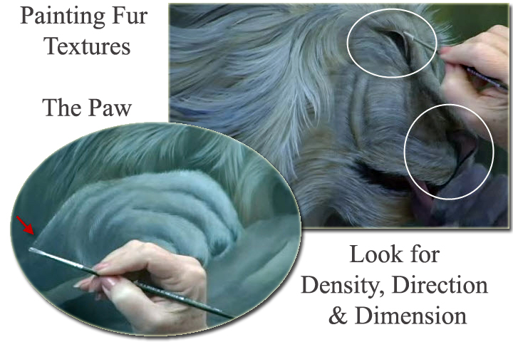720x480 How To Paint Animals Art Apprentice Online - Learn To Painting
