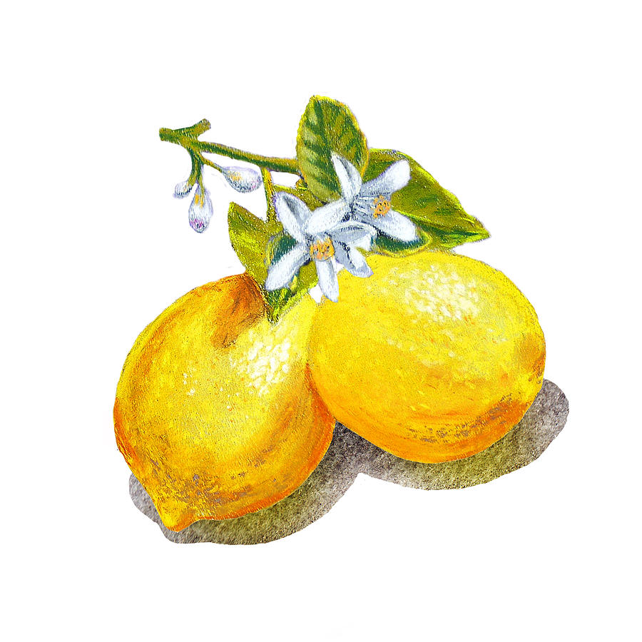900x900 Lemons And Blossoms Painting By Irina Sztukowski - Lemon Painting