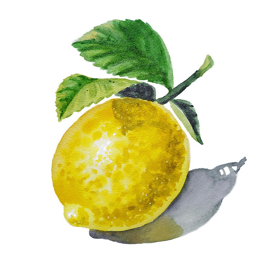 900x900 Lemon Painting - Lemon Painting