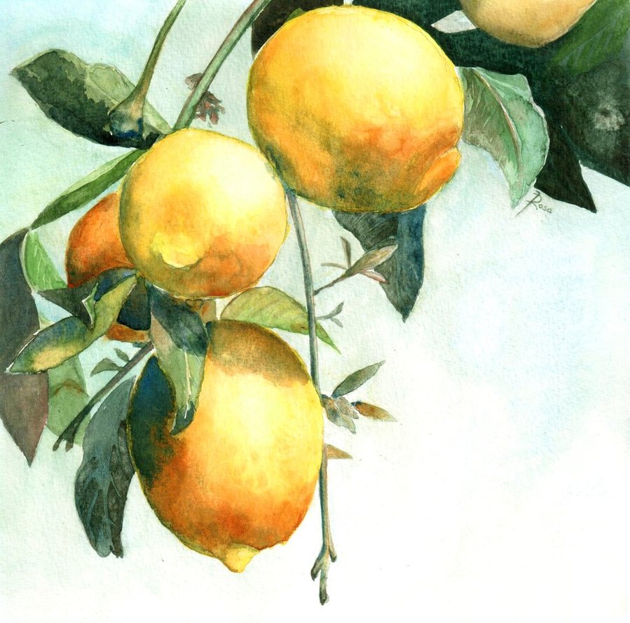 Lemon Tree Painting at PaintingValley.com | Explore collection of Lemon ...