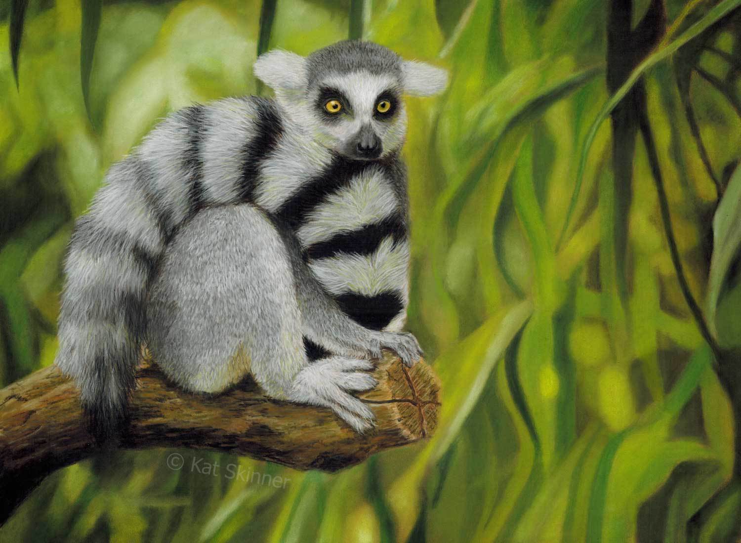1500x1099 Ring Tail Lemur Kat Skinner - Lemur Painting