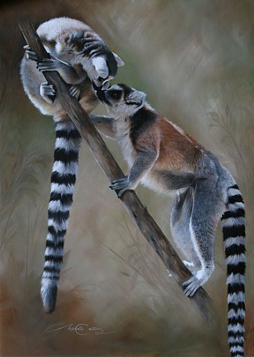 366x515 Ring Tailed Lemur - Lemur Painting