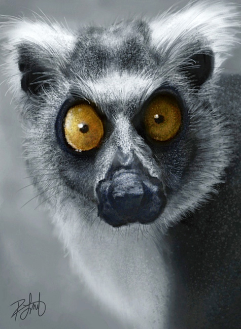 475x648 Why I Paint On The Ipad - Lemur Painting
