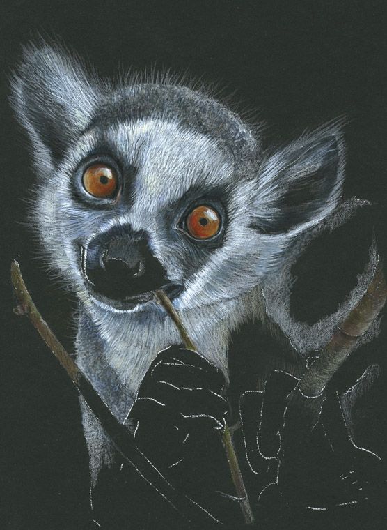556x760 Black Based Paper Art - Lemur Painting