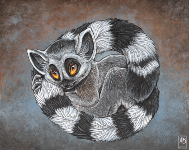 630x500 Lemur Baby By Balaa - Lemur Painting