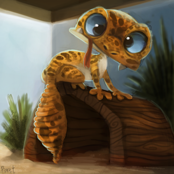 570x570 Gecko Painting - Leopard Gecko Painting
