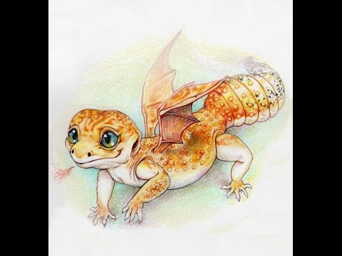 480x360 How To Draw A Leopard Gecko For Beginners - Leopard Gecko Painting