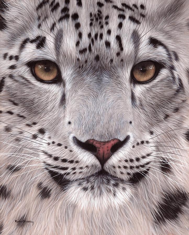 723x900 Snow Leopard Face Painting By Rachel Stribbling - Leopard Painting
