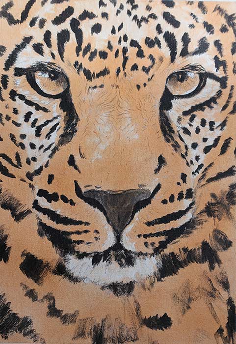 481x700 Paint A Leopard - Leopard Painting