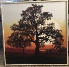 225x221 Letterman Vintage In Paintings Ebay - Letterman Oil Painting