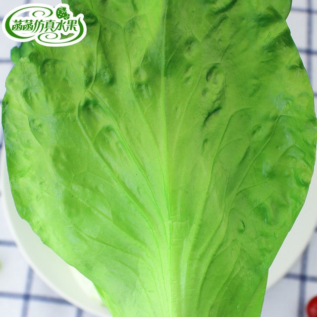 640x640 Online Shop Artificial Lettuce Painting Model Home Decoration - Lettuce Painting