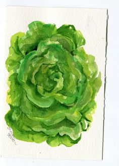 236x327 Lennart Anderson - Lettuce Painting