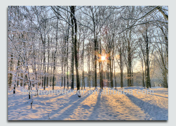 350x250 20x28 Nature Tree Fabric Painting Designs With Led,light Up - Light Up Painting