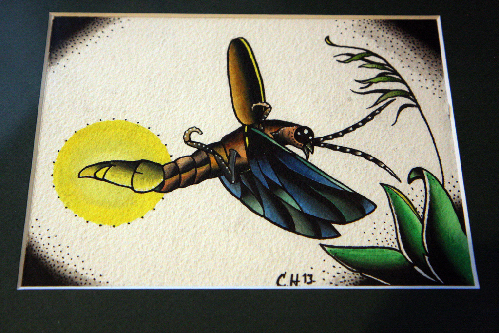 Lightning Bug Painting at Explore collection of
