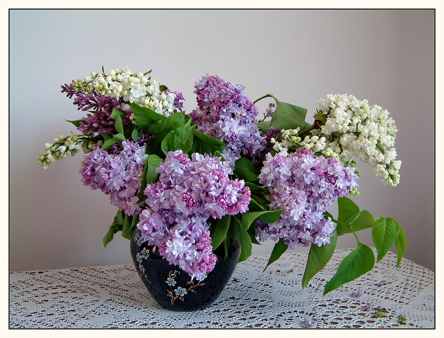 900x685 Lilac Painting By Evapm - Lilac Painting