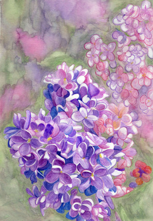 300x432 Original Water Color Lilac By Dragon - Lilac Painting