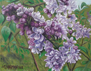 300x234 Flower Paintings, Flower Prints, Flora Art, Garden Art - Lilac Painting