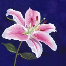 225x225 31 Best Lilies Images On Art Floral, Art Flowers - Lillies Painting