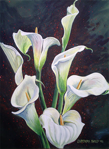 366x500 Arum Lilies. Barbara Philip - Lillies Painting