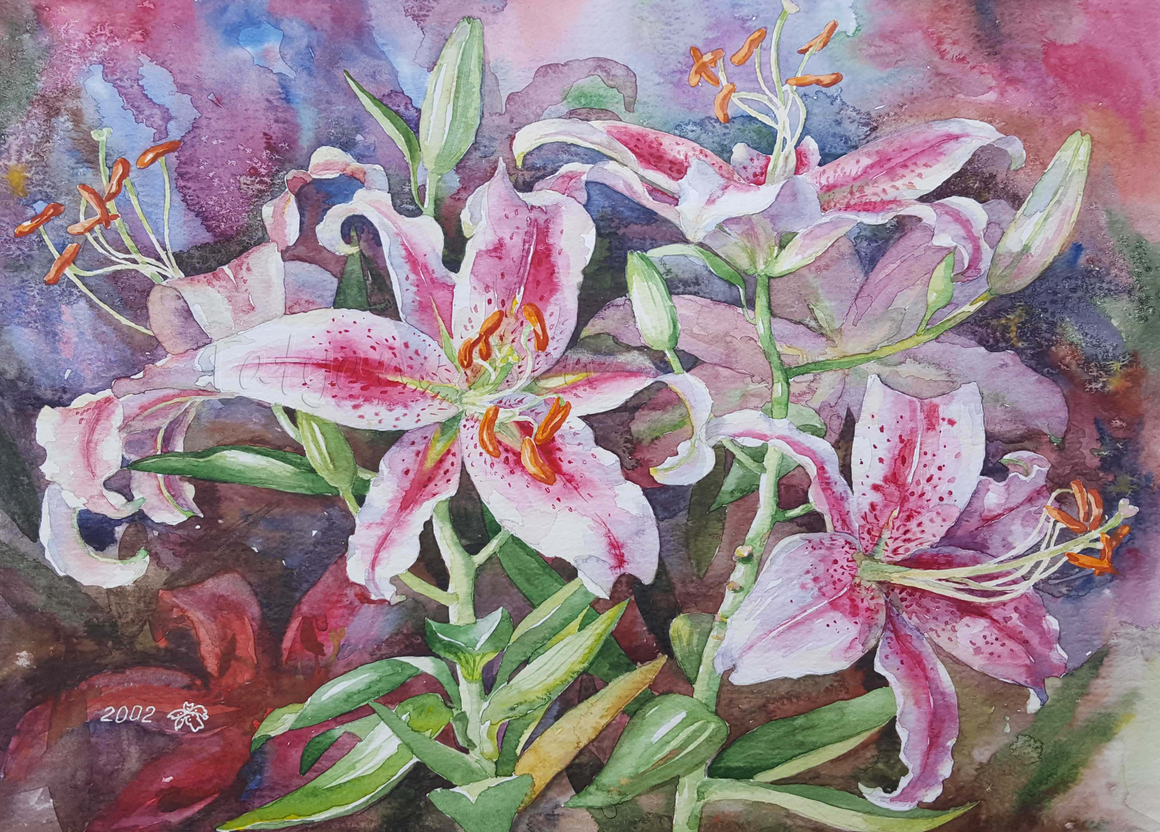 3788x2716 Stargazer Lilies Painting Original Watercolor For Sale - Lillies Painting