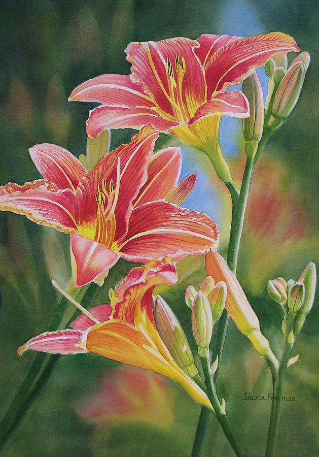 629x900 Vintage Red Orange Lilies Painting By Sharon Freeman - Lillies Painting