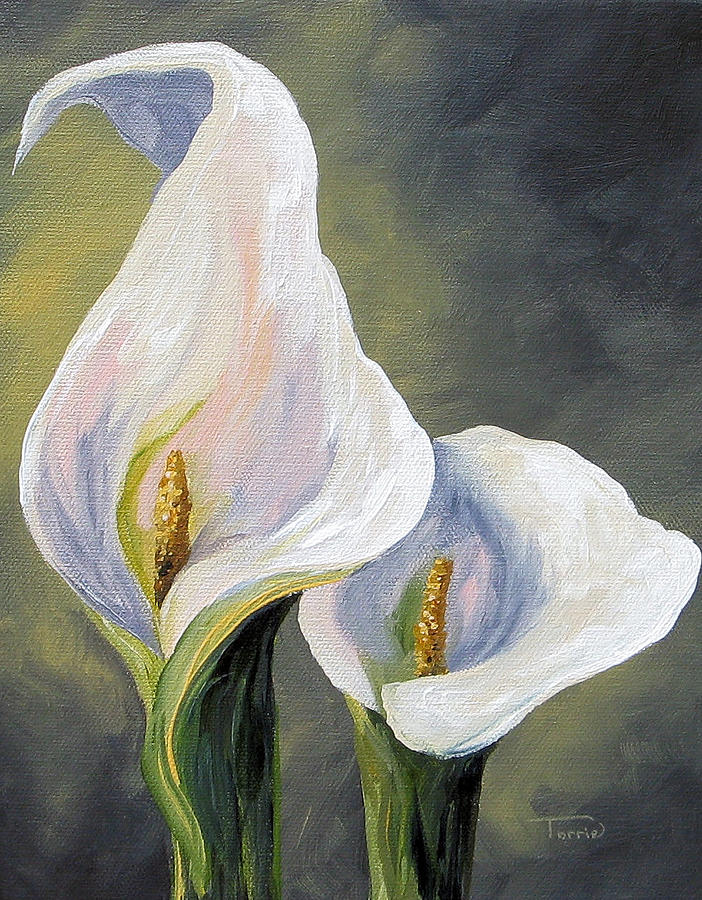 702x900 Claudia's Calla Lilies Painting By Torrie Smiley - Lillies Painting